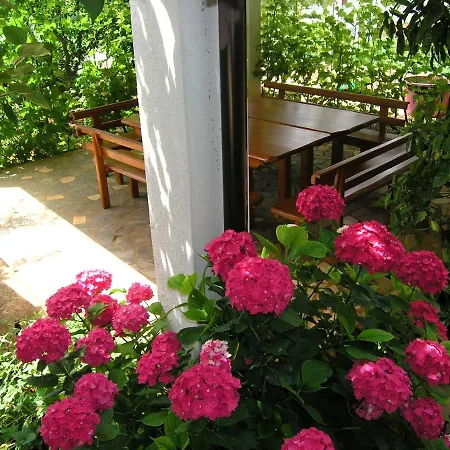 Apartman Juric Apartment